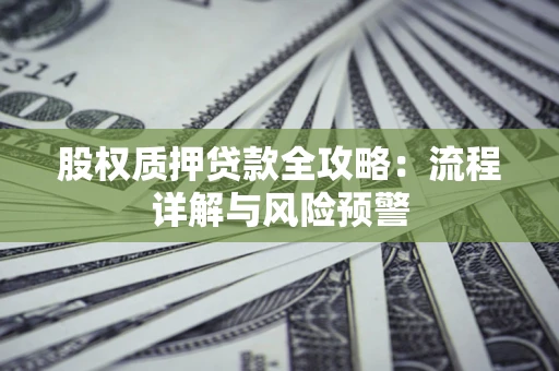 武汉股权质押贷款全攻略：流程详解与风险预警