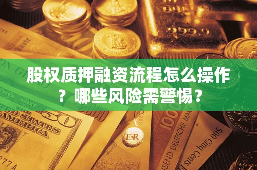 武汉股权质押融资流程怎么操作？哪些风险需警惕？