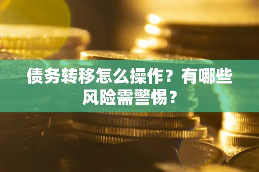 武汉债务转移怎么操作？有哪些风险需警惕？