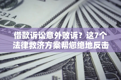 武汉借款诉讼意外败诉？这7个法律救济方案帮您绝地反击！