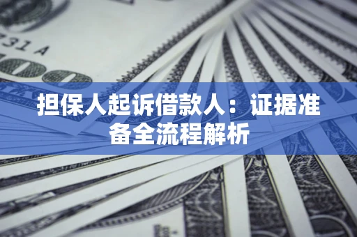 武汉担保人起诉借款人：证据准备全流程解析