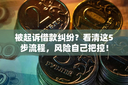 武汉被起诉借款纠纷？看清这5步流程，风险自己把控！
