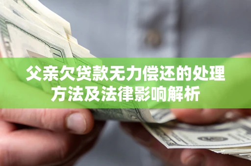 武汉父亲欠贷款无力偿还的处理方法及法律影响解析