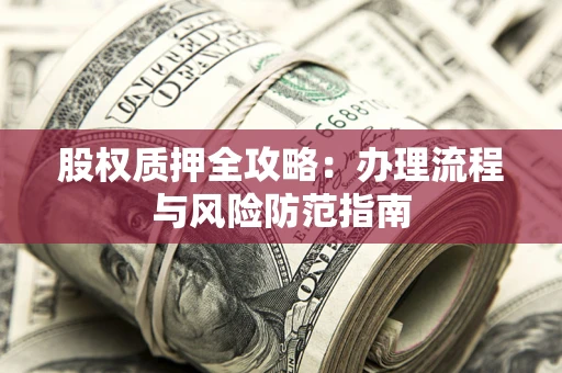 武汉股权质押全攻略：办理流程与风险防范指南