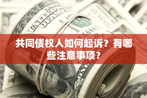 武汉共同债权人如何起诉？有哪些注意事项？