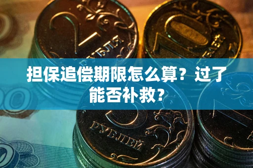 武汉担保追偿期限怎么算？过了能否补救？